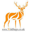 Wild Stags