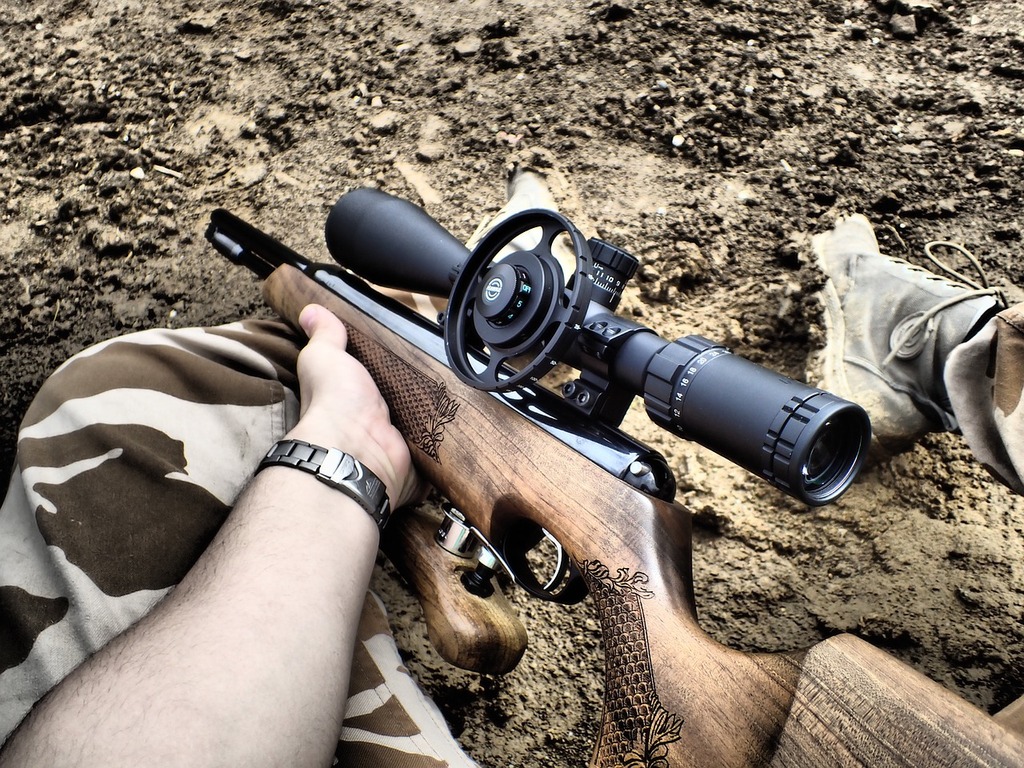 Air Rifle with Scope