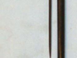 WW1 British Officer’s Lacquered Wood Sword Stick With Ferrule Engraved To ‘Capta Other Blade