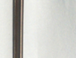 Bayonet