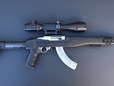 Ruger 10/22 Semi-Auto .22 Rifle