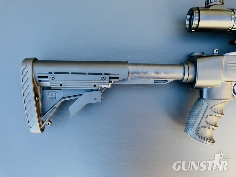 Ruger 10/22 Semi-Auto .22 Rifle