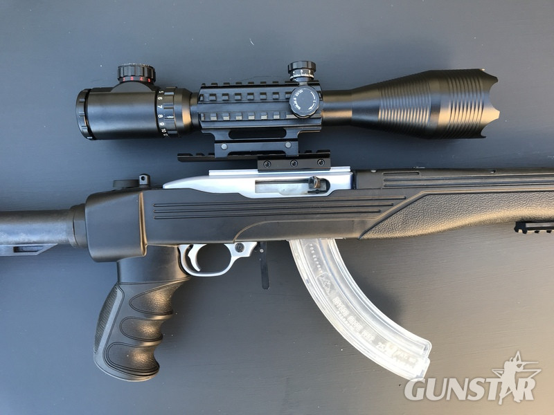  Ruger 10/22 Semi-Auto .22 Rifle