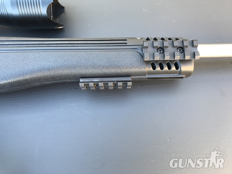 Ruger 10/22 Semi-Auto .22 Rifle - {CATEGORY} in 