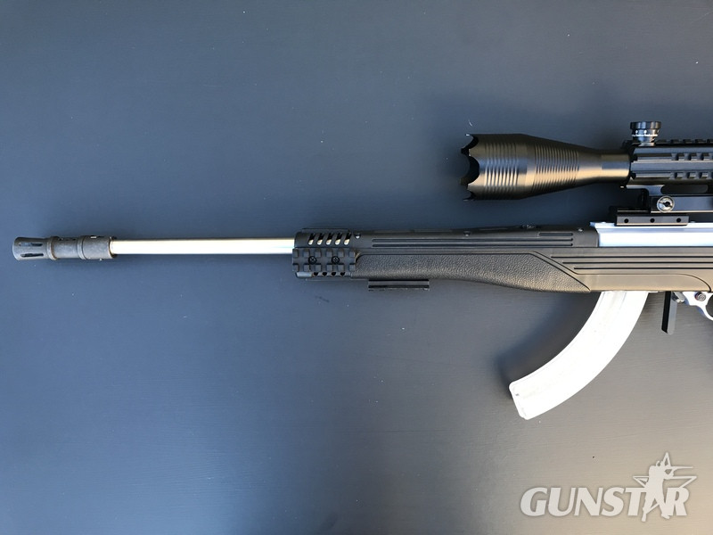 Ruger 10/22 Semi-Auto .22 Rifle 