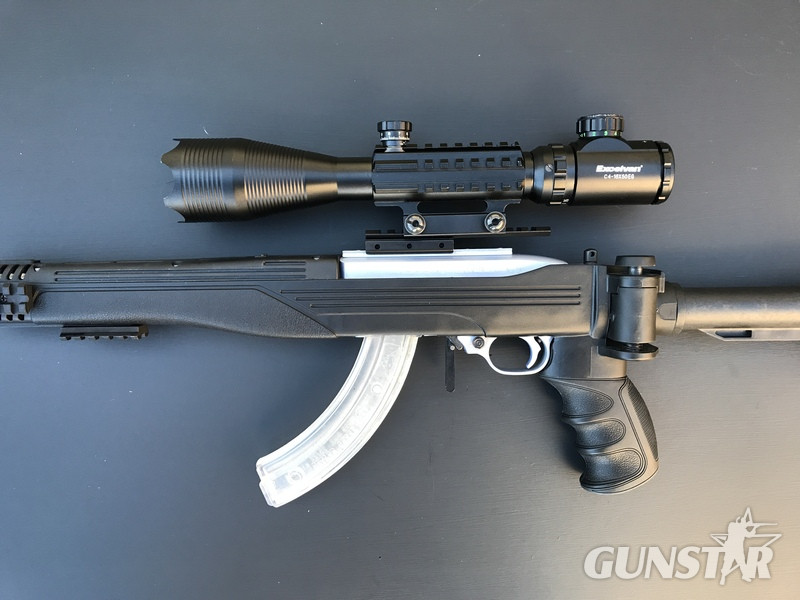 {CATEGORY} - Ruger 10/22 Semi-Auto .22 Rifle in 
