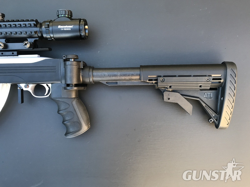 {CATEGORY} - Ruger 10/22 Semi-Auto .22 Rifle