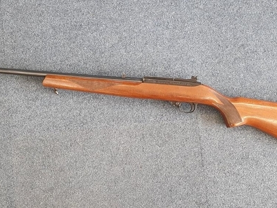 Ruger 10/22 Semi-Auto .22LR Rifle