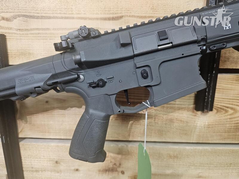  G&G Armament ARP556 6 mm