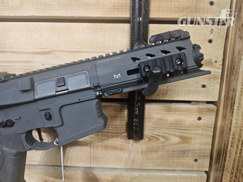 G&G Armament ARP556 6 mm - {CATEGORY} in 