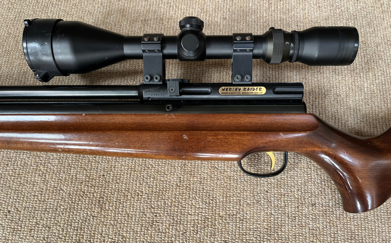 Webley & Scott Webley Raider .22 - {CATEGORY} in 