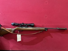 Ruger 10/22 Semi-Auto .22 Rifle