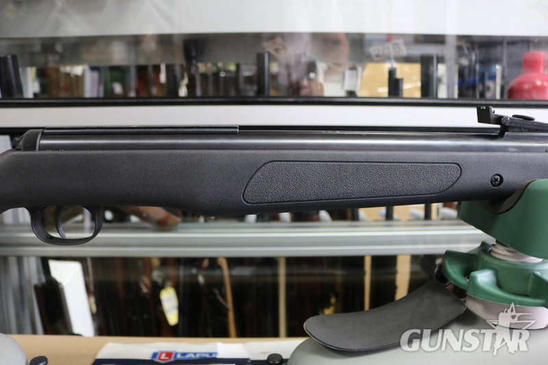  Diana Panther 350 Magnum T06 .177