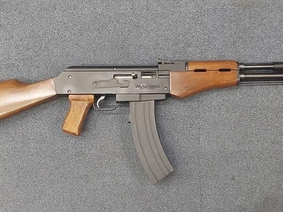 Arms Corporation  Semi-Auto .22LR Rifle