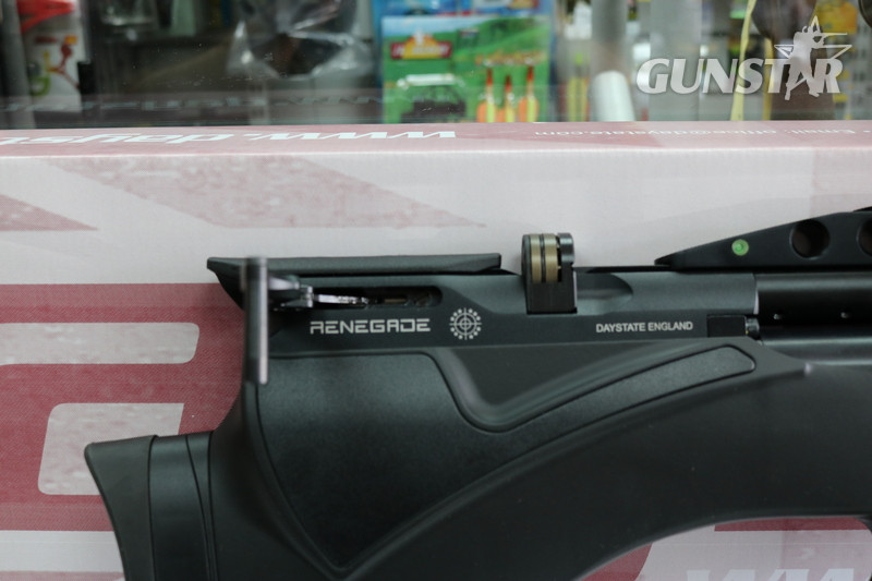  Daystate RENEGADE .22