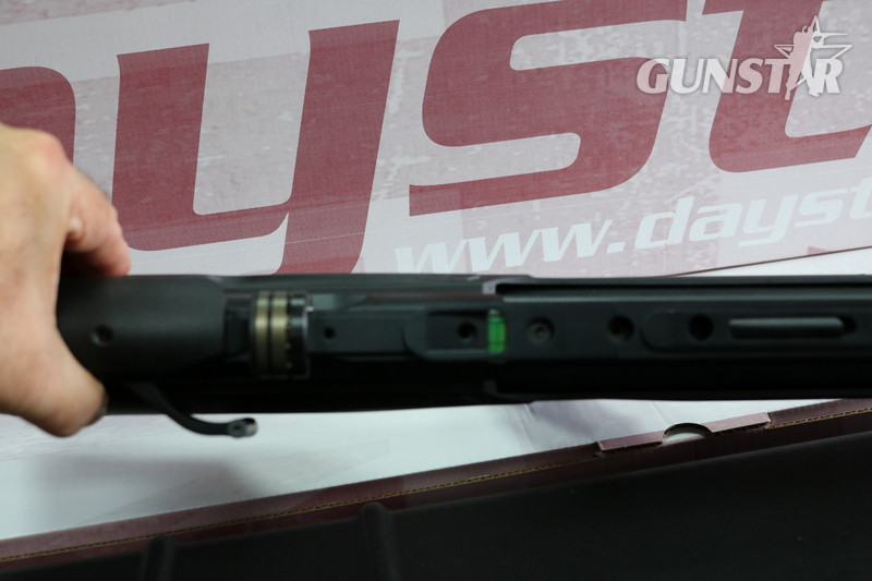 Daystate RENEGADE .22 