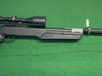 Remington Thunder Ceptor .22