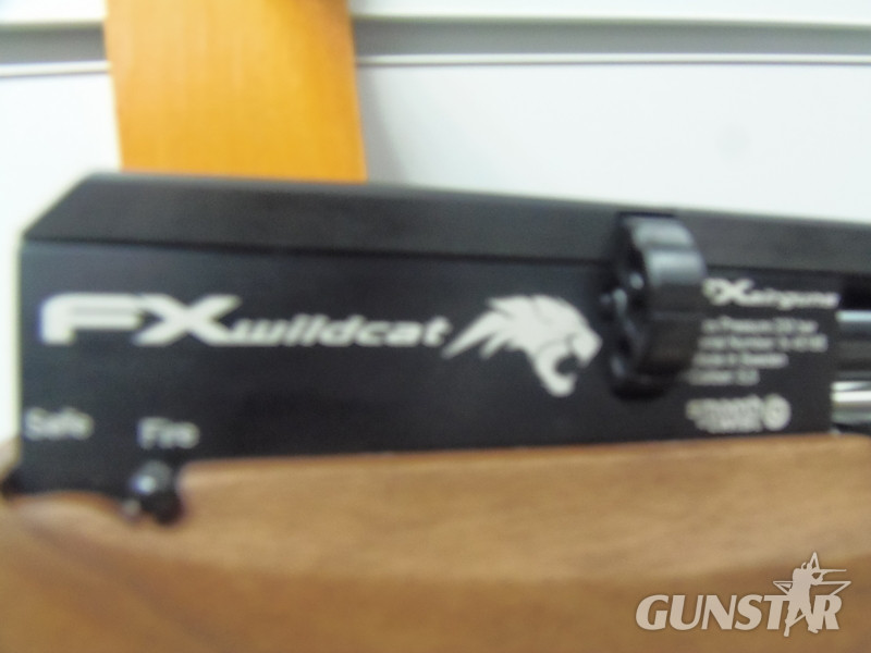 FX Airguns Wild Cat .22 