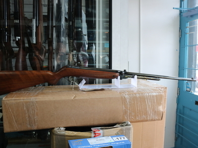 Webley & Scott mark 3 .22