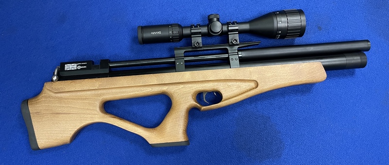 P10 .22