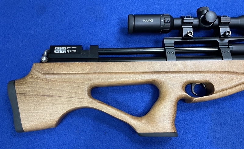  P10 .22