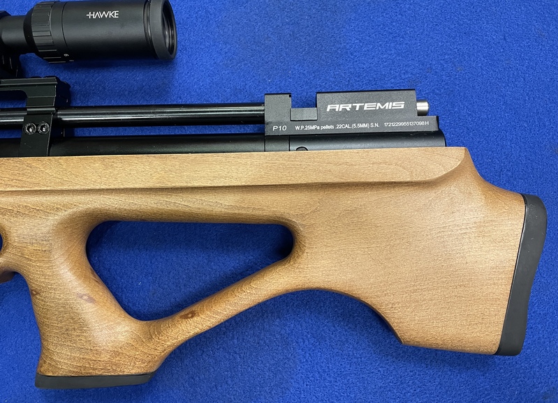 P10 .22 