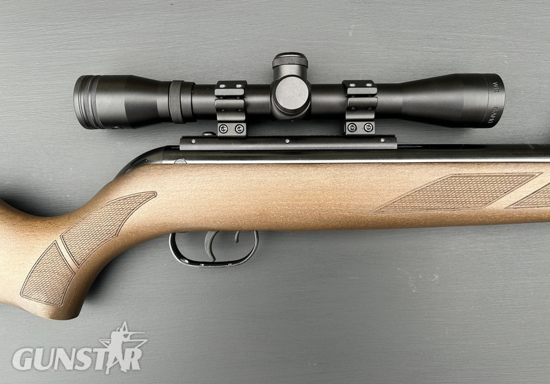  Gamo 440 Hunter .22