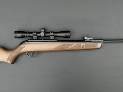 Gamo 440 Hunter .22