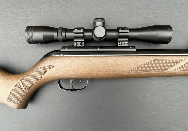  Gamo 440 Hunter .22