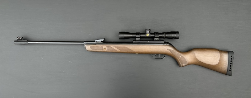 Gamo 440 Hunter .22 