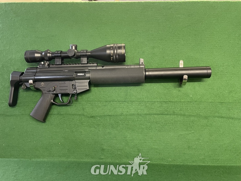  GSG - German Sport Guns GmbH 522 Semi-Auto .22 Rifle