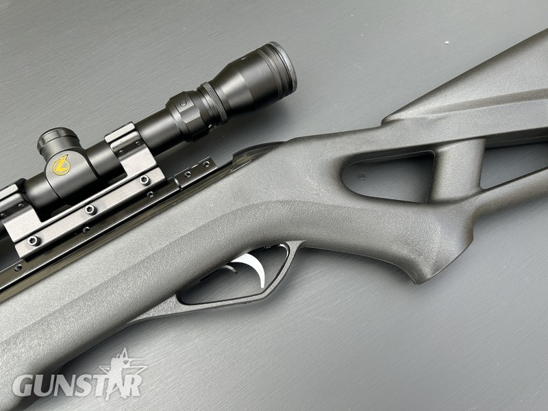 {CATEGORY} - Gamo Whisper X Swarm .177 in 