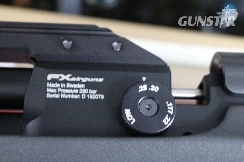 FX Airguns  .22 