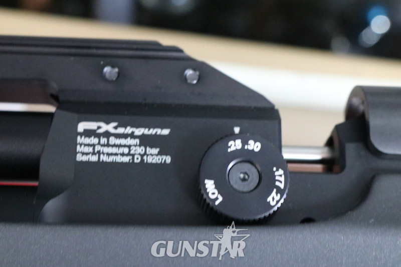 FX Airguns  .22 