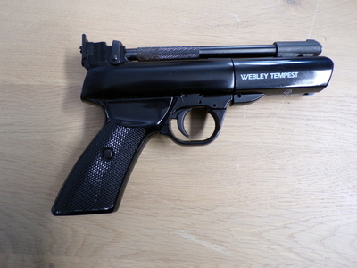 Webley & Scott TEMPEST .22
