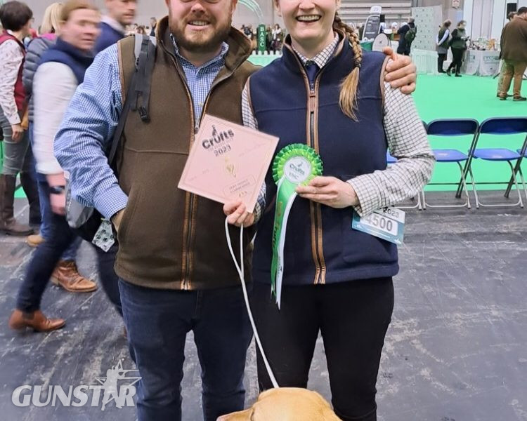 Proven KC registered Labrador Stud Dog - {CATEGORY} in 