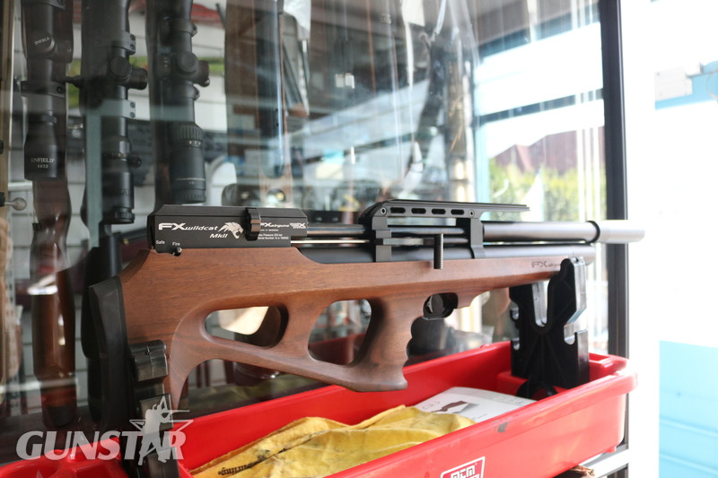FX Airguns Wildcat Walnut .22 in 