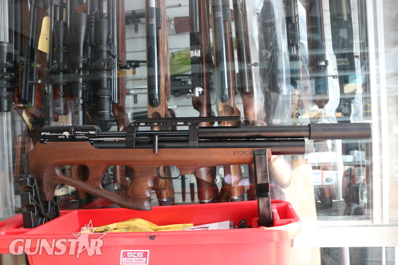FX Airguns Wildcat Walnut .22