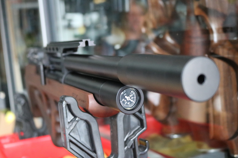  FX Airguns Wildcat Walnut .22