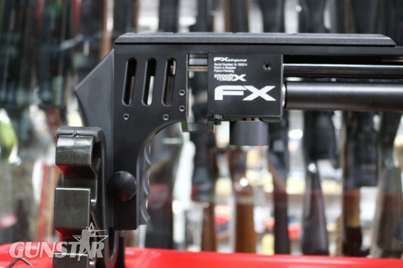 FX Airguns IMPACT F.A.C .22 - {CATEGORY} in 