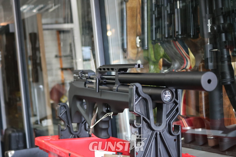 FX Airguns WILDCAT MARK 2 .22 