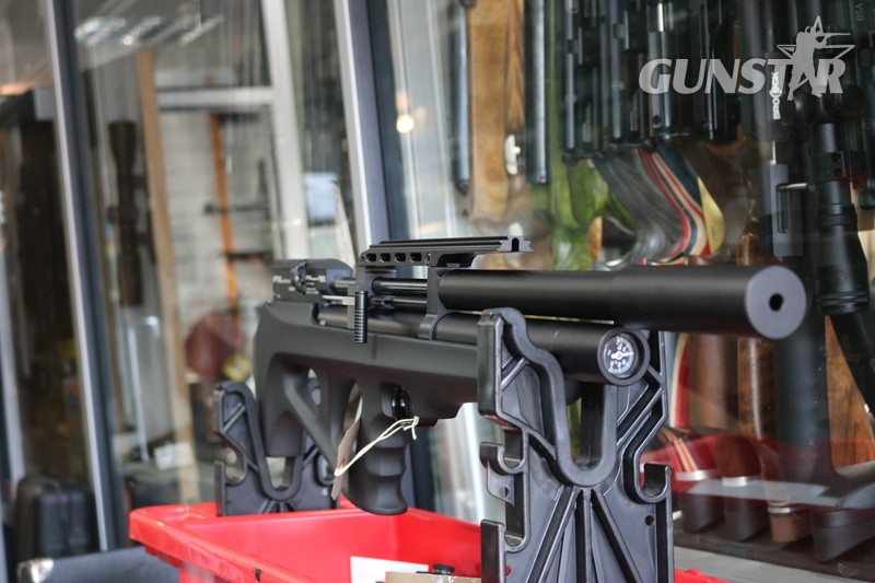FX Airguns WILDCAT MARK 2 .22 