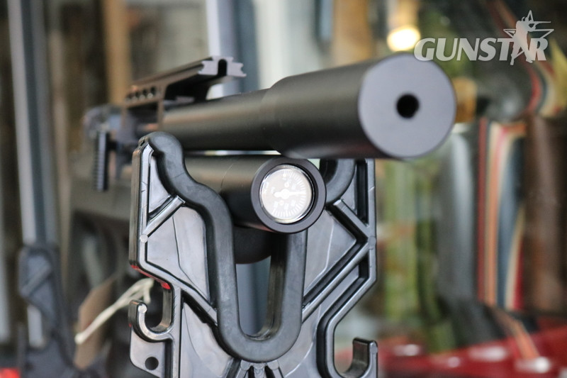 {CATEGORY} - FX Airguns WILDCAT MARK 2 .22 in 