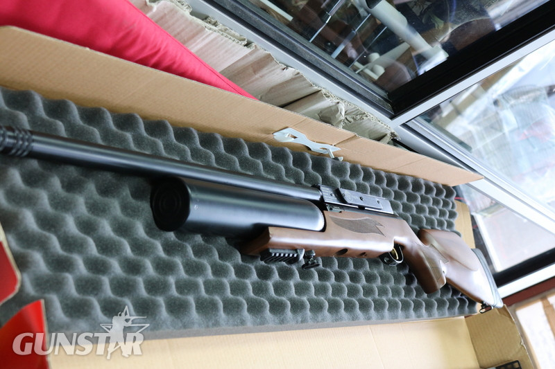 Hatsan Arms NOVA COMPACT .22 - {CATEGORY} in 