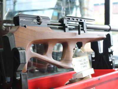 FX Airguns wildcat fac .25