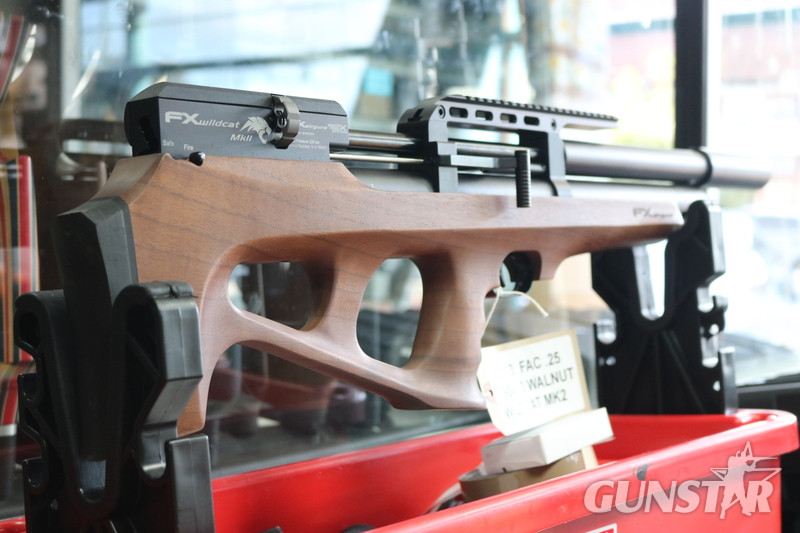 FX Airguns wildcat fac .25 in 