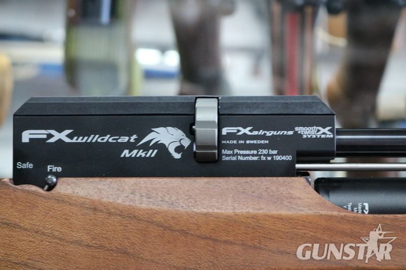 FX Airguns wildcat fac .25