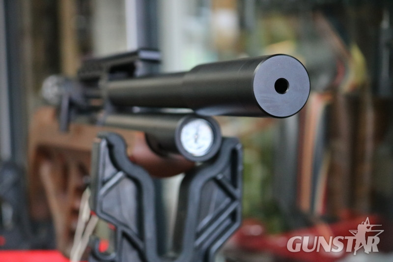 FX Airguns wildcat fac .25 - {CATEGORY} in 