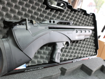 Daystate RENEGADE .22