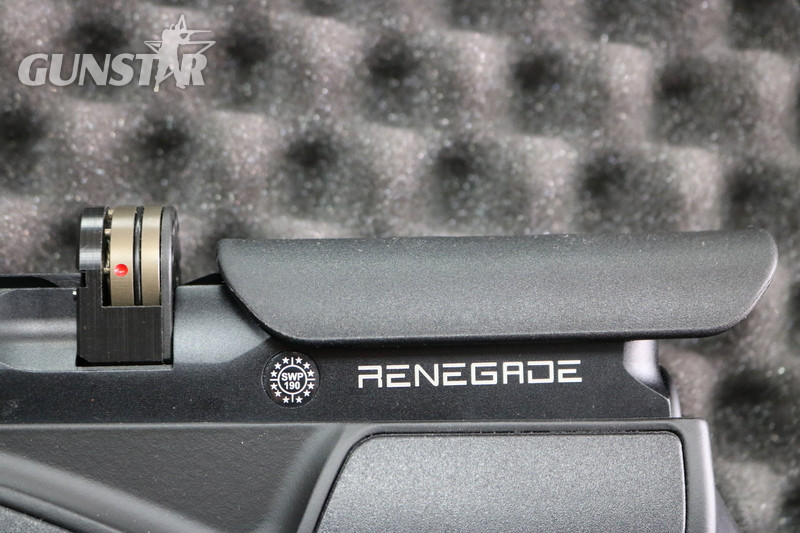 Daystate RENEGADE .22